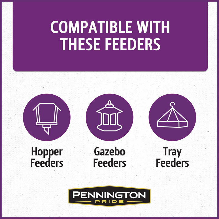 Pennington Songbird Nut &amp; Fruit Blend Wild Bird Seed for Outside Feeders