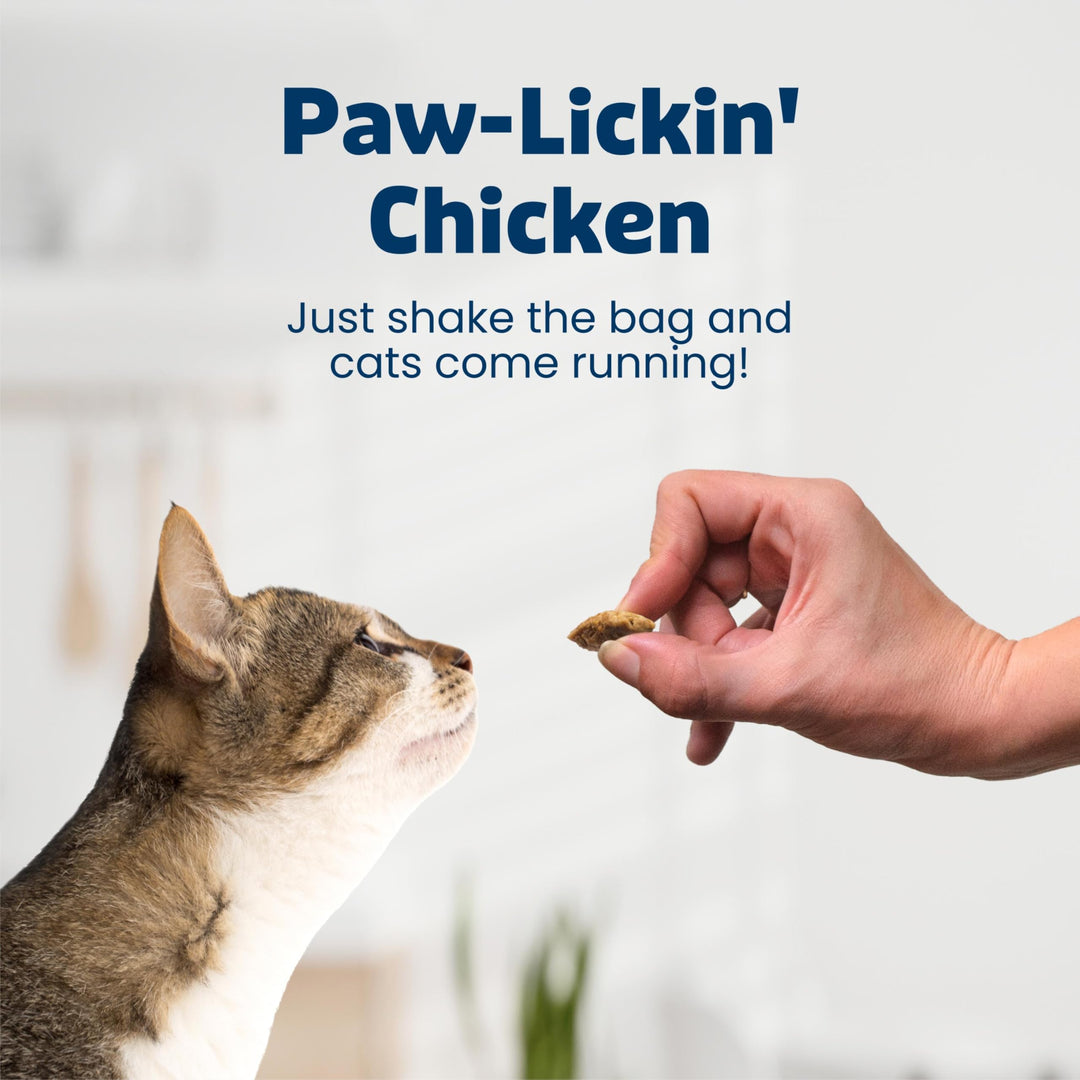 Blue Buffalo Bursts Chicken Crunchy &amp; Creamy Cat Treats, 5 oz
