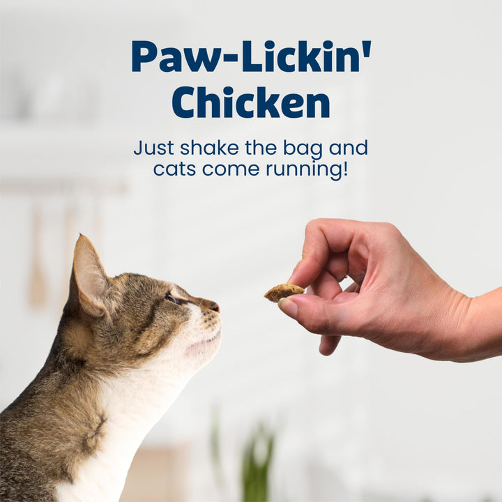 Blue Buffalo Bursts Chicken Crunchy &amp; Creamy Cat Treats, 5 oz