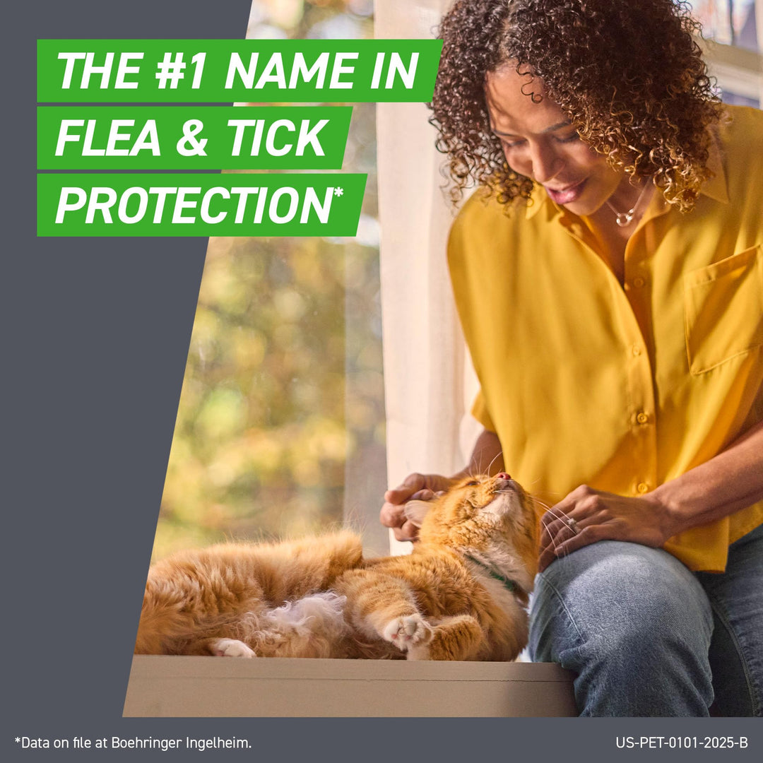 FRONTLINE Plus Flea &amp; Tick Spot Treatment for Cat &amp; Kitten (Green) Count of 3
