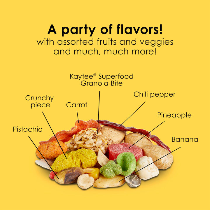 Kaytee Fiesta Parrot Food for Large Birds, 2.5 Pounds