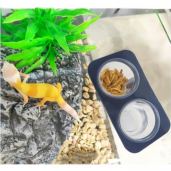 MRTIOO Lizard Crested Gecko Food Water Feeding Cups, 100 pcs, 0.5oz