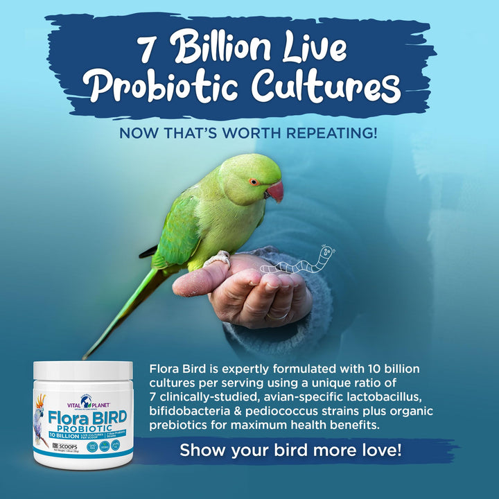 Vital Planet - Flora Bird Probiotic Powder Supplement with 10 Billion Cultures and 7 Diverse Strains, High Potency Probiotics for All Birds for Avian Digestive and Immune Support 80 Scoops 1.06 oz