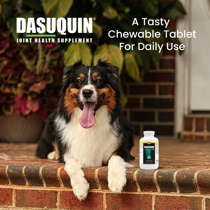 Nutramax Dasuquin MSM Joint Supplement, Large Dogs Chewable Tablets, 150ct