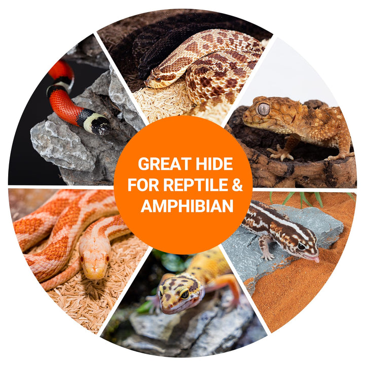 REPTI ZOO Gecko Hide Cave, 2 in 1 Snake Reptile Hideout for Hide &amp; Rest &amp; Breed &amp; Feeding, Reptile &amp; Amphibian Habitat Decor for Corn Snake, Small Snake, Ball Python, Crested Gecko, Leopard Gecko
