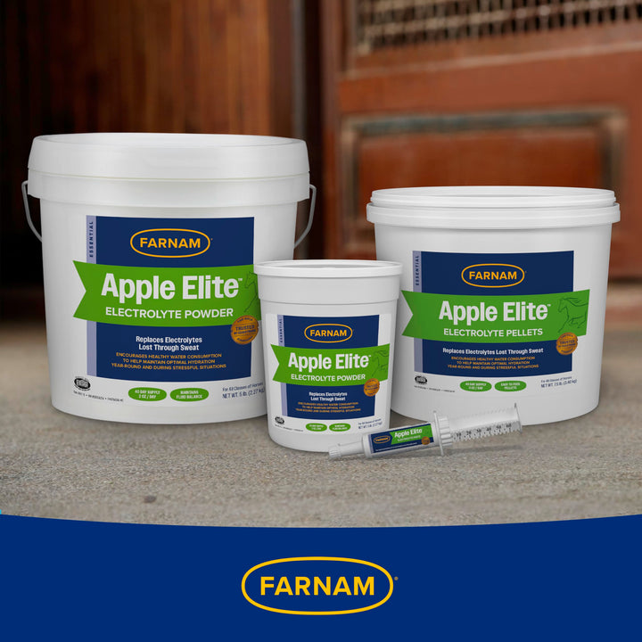 Farnam Apple Elite Horse Electrolyte Powder, Replaces Minerals Lost in Sweat During Exercise, Extreme Weather &amp; Stressful Conditions, 5 lb., 40 Day Supply (Pack of 2)