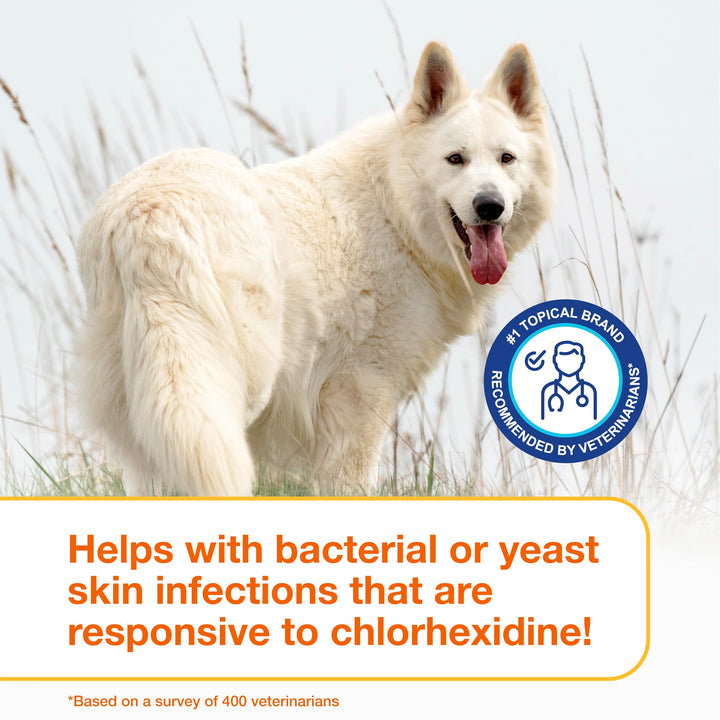 Douxo S3 PYO Medicated Dog Mousse - Bacterial &amp; Yeast Infection Treatment