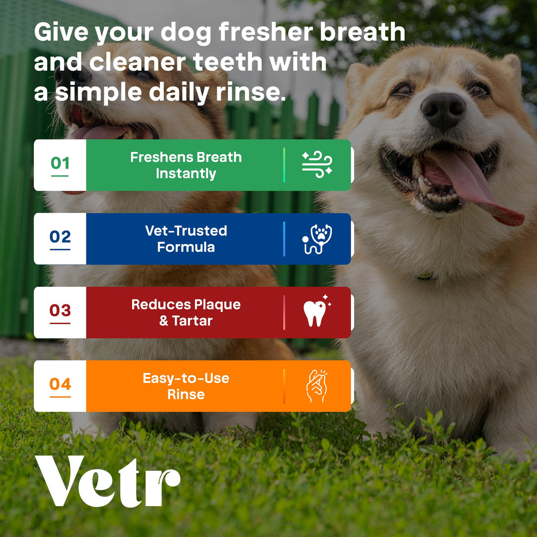 vetr Dental Formula for Dogs - Peppermint Flavored Oral Care Liquid Additive with Enzymes for Breath and Teeth Support - 16 oz (500mL) - Vet-Formulated in USA