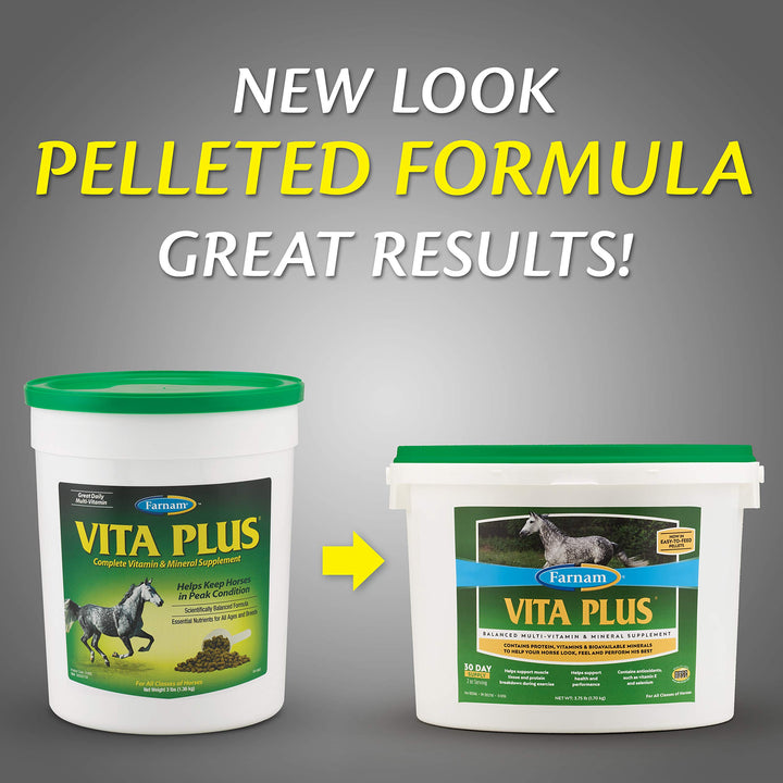 Farnam Vita Plus Balanced Multi-Vitamin &amp; Mineral Horse Supplement, Vitamin Supplements, Provides Balanced Nutrition to Support Overall Health and Performance, 3.75 Pounds, 30 Day Supply