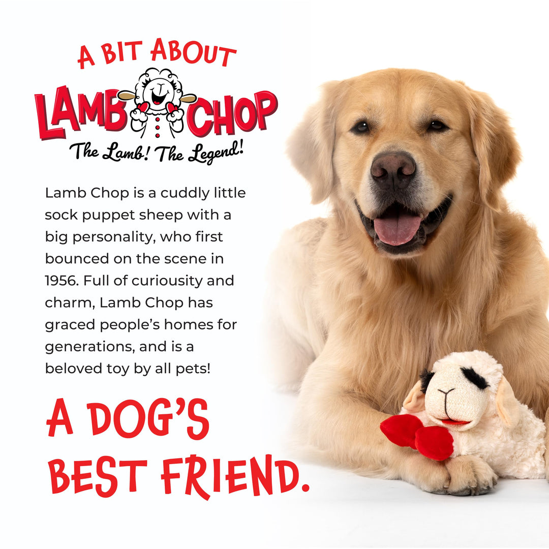 Multipet Lamb Chop Dog Plush Toy - Durable Lining - 10.5" - Blue Paws