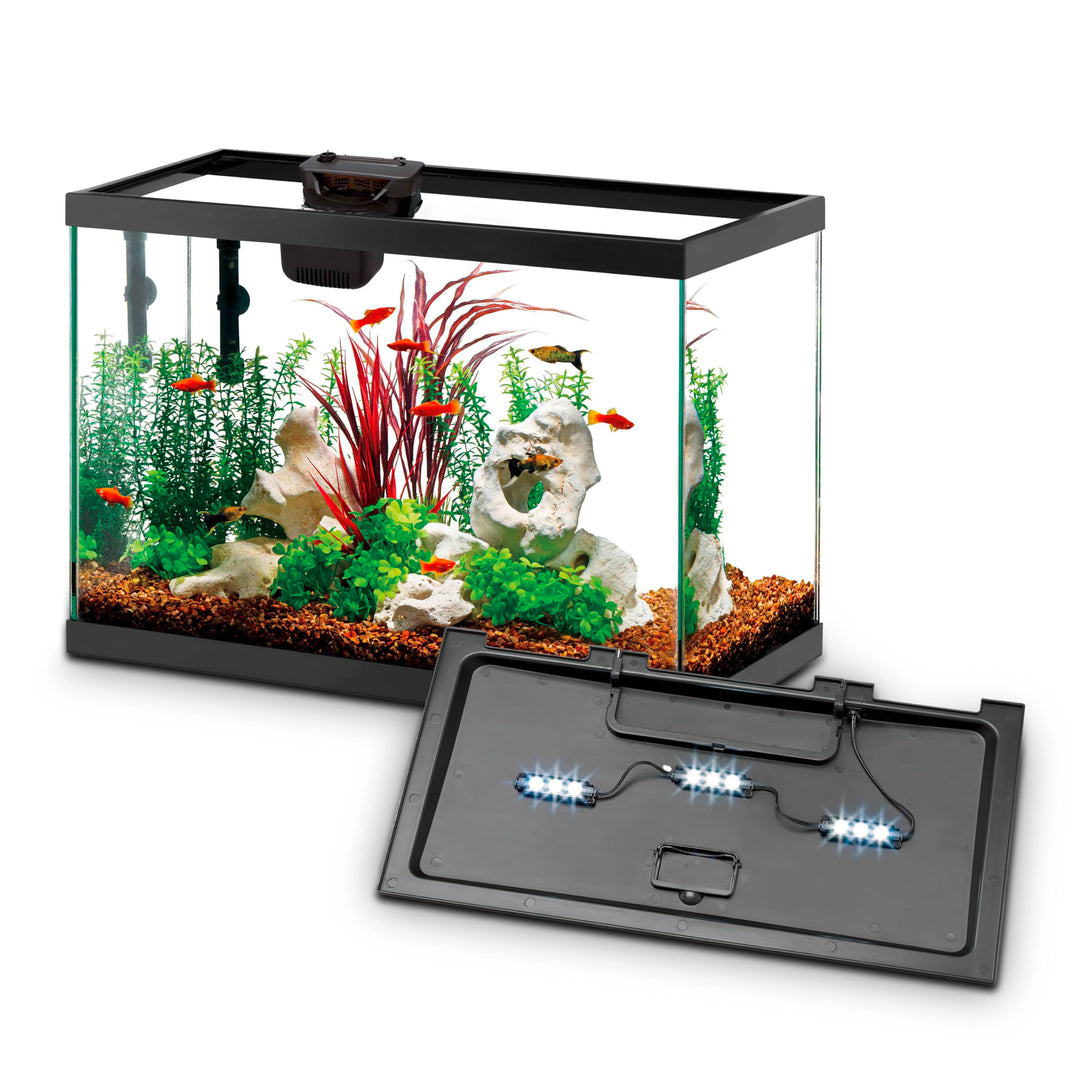 Aqueon Aquarium Starter Kit with Smart Clean Filtration and LED Lighting, Freshwater and Saltwater Fish, Perfect for Tetras, Guppies, Platies, 10-Gallon