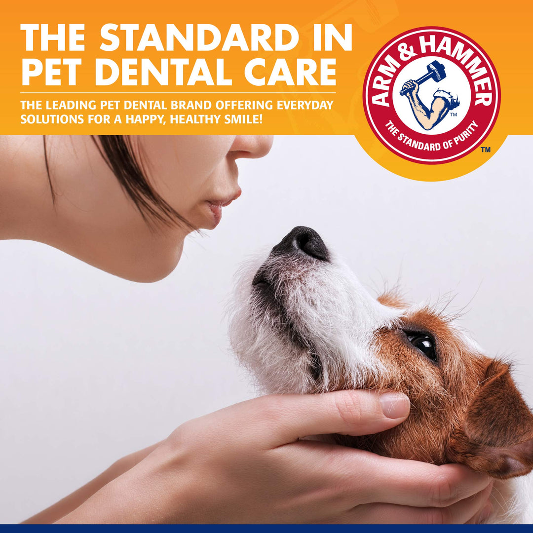 Arm &amp; Hammer Tartar Control Enzymatic Dog Toothpaste, Beef Flavor, 2.5 Oz