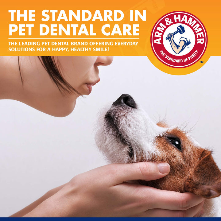 Arm &amp; Hammer Tartar Control Enzymatic Dog Toothpaste, Beef Flavor, 2.5 Oz