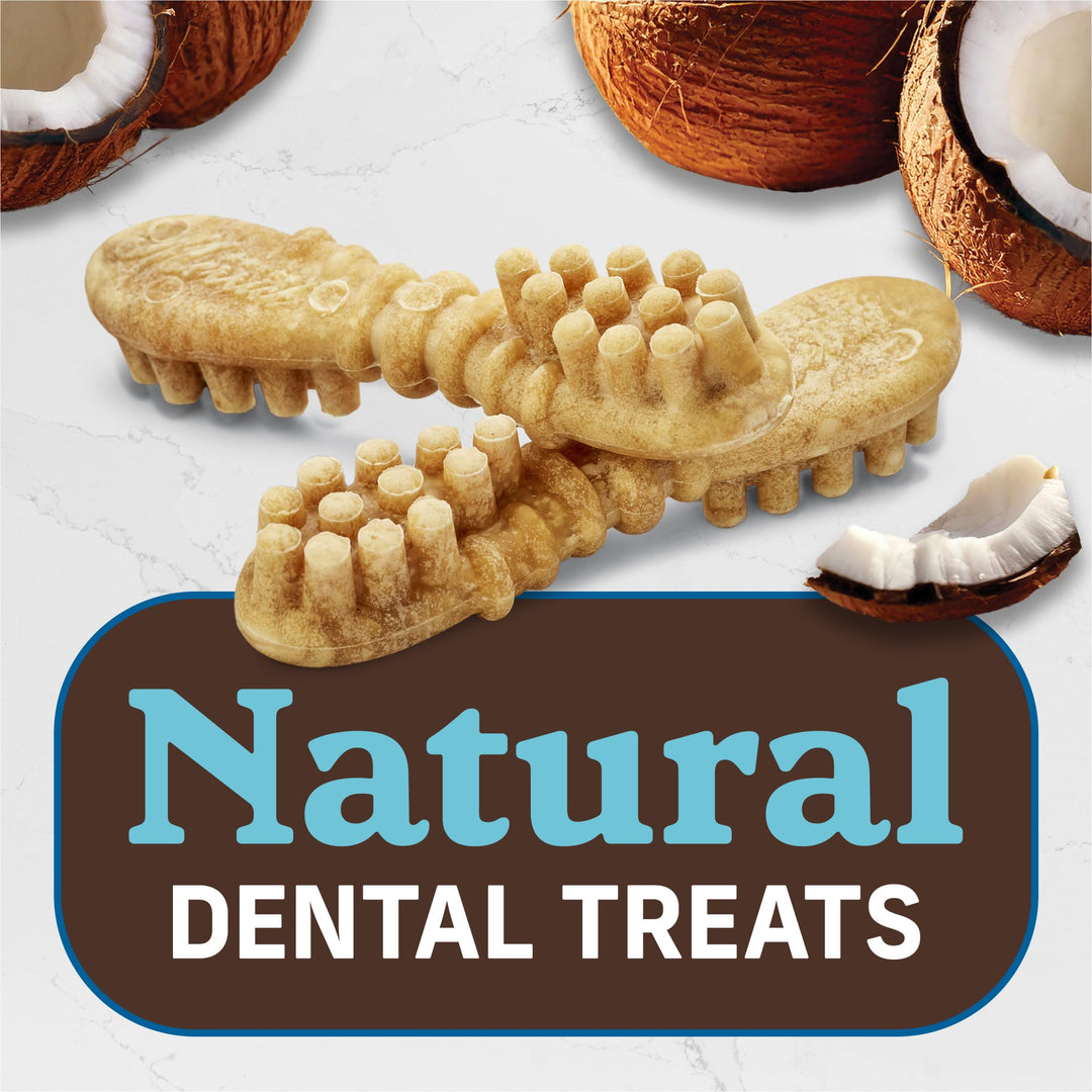 Merrick Fresh Kisses Natural Medium Dental Chews for Dogs, 22 ct. Box