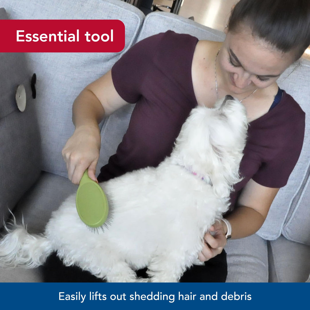 Coastal Pet Safari Wire Pin Brush with Plastic Handle, Large