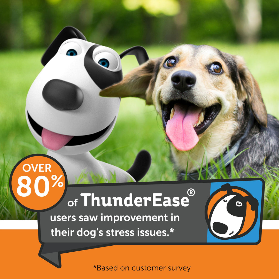 ThunderEase Dog Calming Pheromone Diffuser Kit | Powered by ADAPTIL | Vet Recommended to Relieve Separation Anxiety, Stress Barking &amp; Chewing, and Fear of Fireworks &amp; Thunderstorms (30 Day Supply)