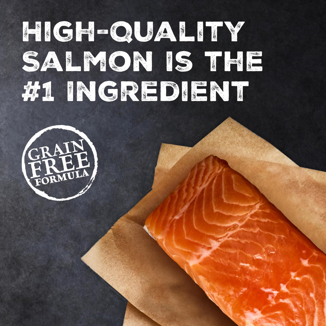Blue Buffalo Wilderness Salmon Adult Dry Cat Food, Grain-Free, 11 lb