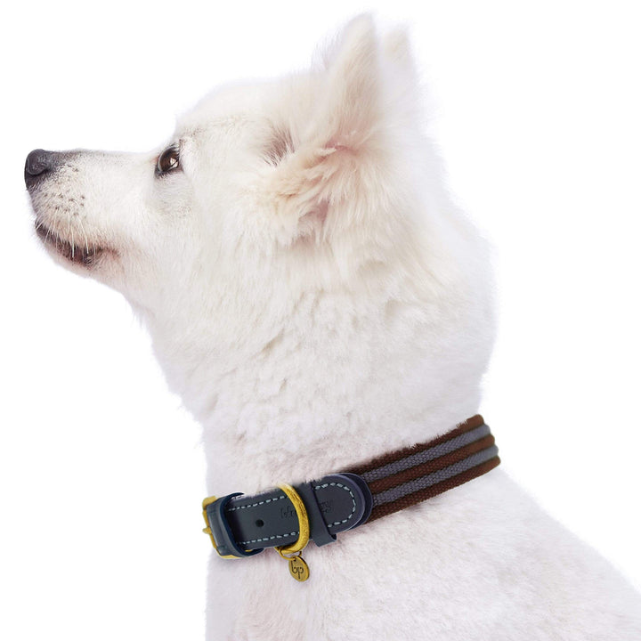 Blueberry Pet Soft Genuine Leather Dog Collar for Small Dogs - Adjustable Stylish Dog Collars, Leather Dog Collar in Noir Grey/Burgundy - Eco Brass Buckle, Size 12&