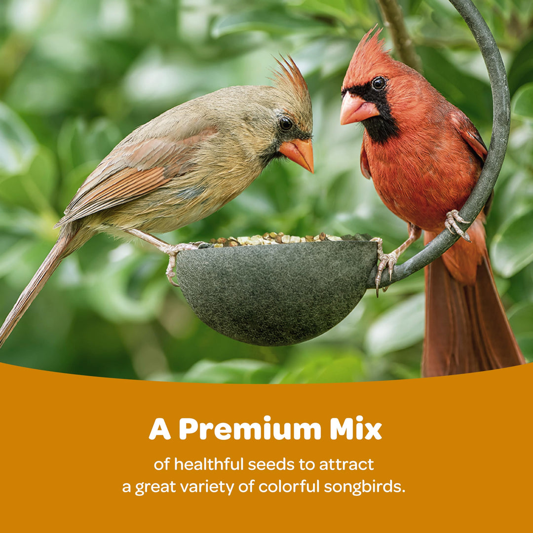 Kaytee Ultimate Wild Finch Blend Wild Bird Food, Attracts Finches &amp; Other Outdoor Wild Birds, 10 Pounds