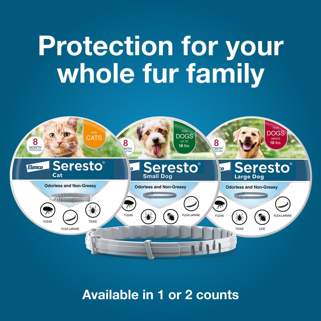 Seresto 8-Month Flea &amp; Tick Collar for Large Dogs Over 18 lbs., 1ct