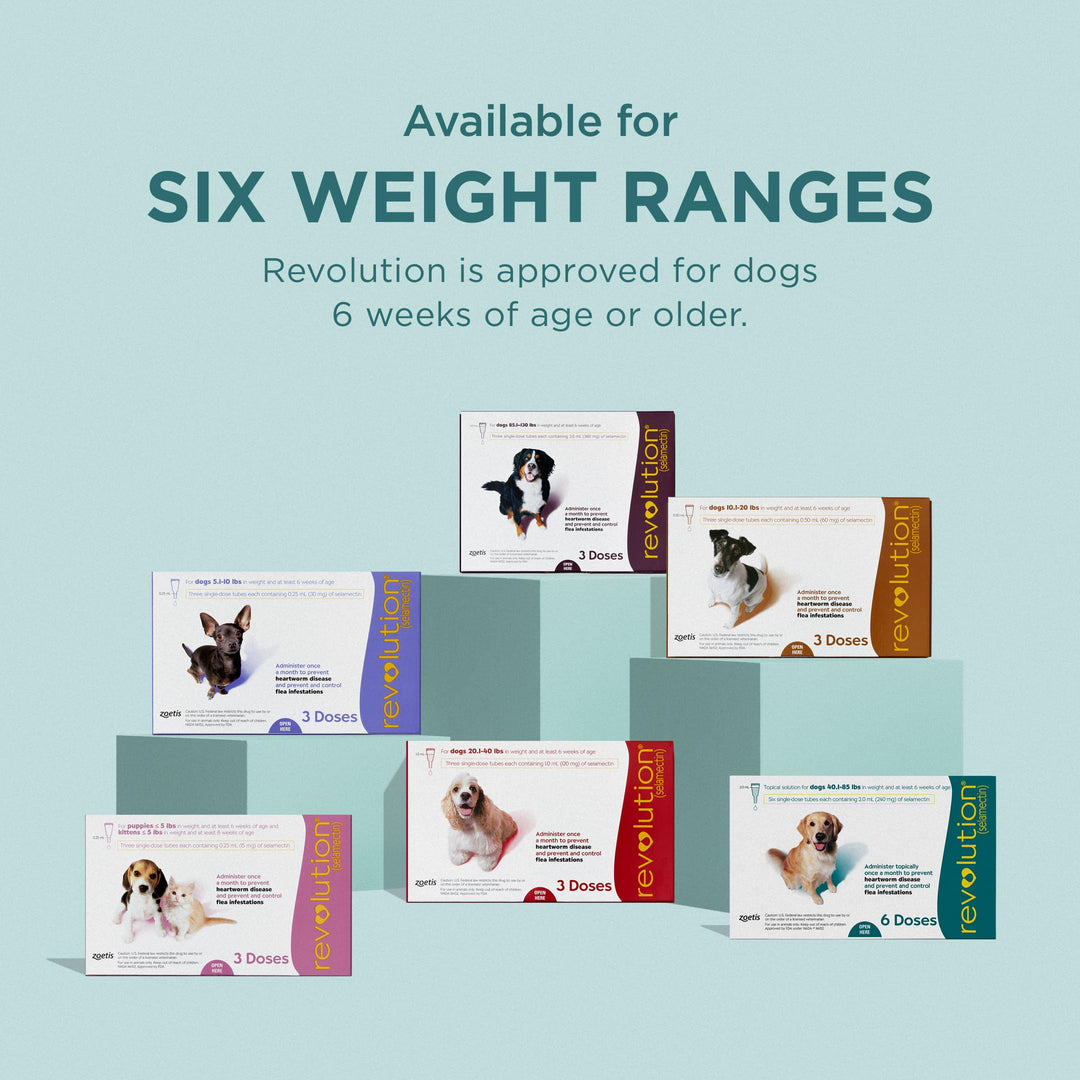 Revolution Topical Solution for Dogs, 40.1-85 lbs, 6-Month Supply