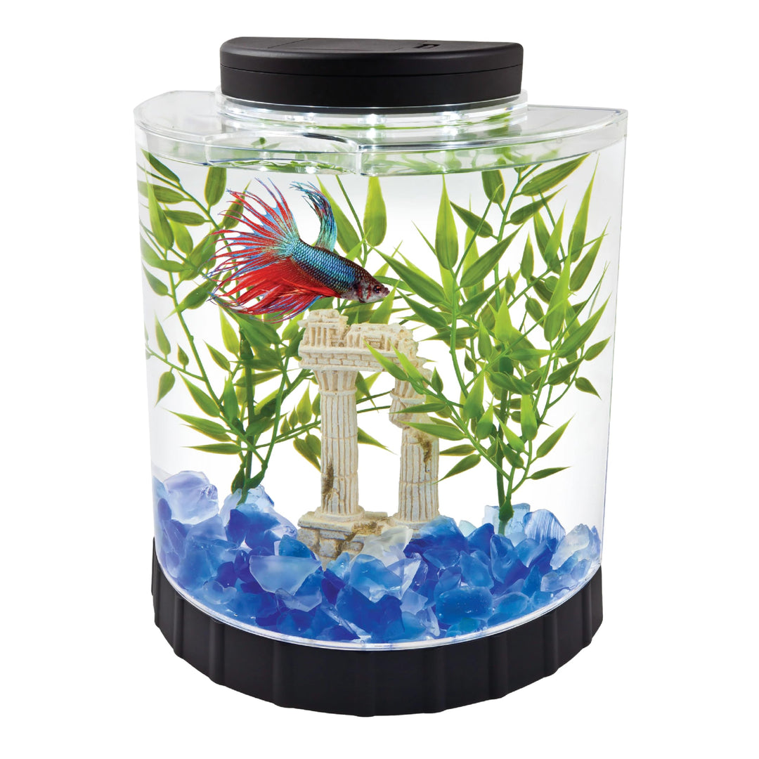 Tetra LED Half Moon 1.1 Gallon Fish Tank Kit for Betta Fish