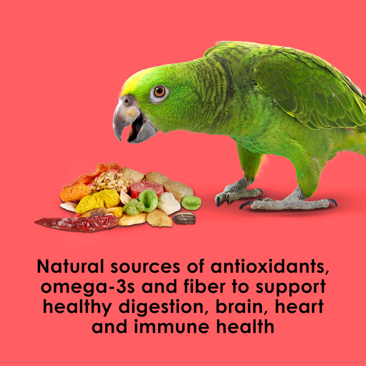 Kaytee Fiesta Parrot Food for Large Birds, 2.5 Pounds