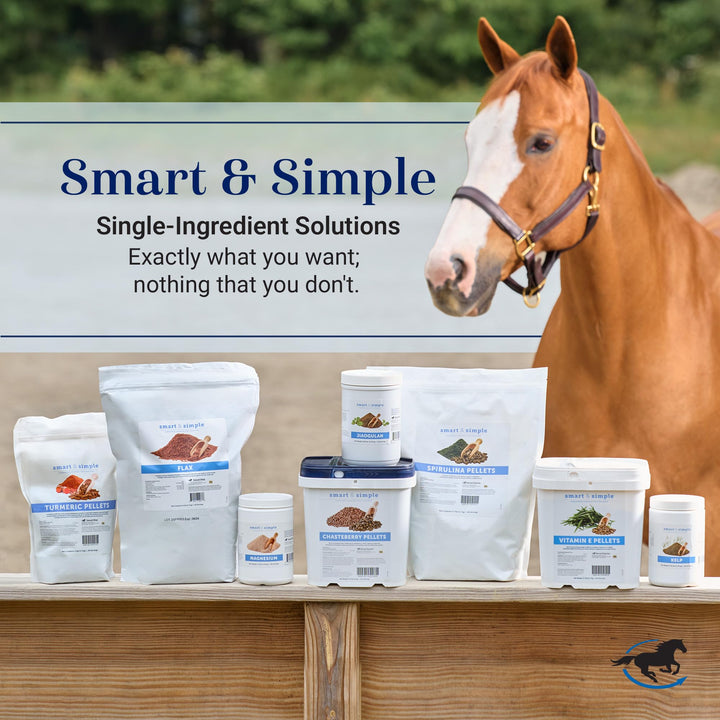 SmartEquine Nutrition Essentials SmartPak | Nutritional Supplement for Horses | Containing Essential Vitamins, Minerals, Amino Acids, and Omega 3 | Healthy Skin &amp; Horse Coat | 28 Days Supply