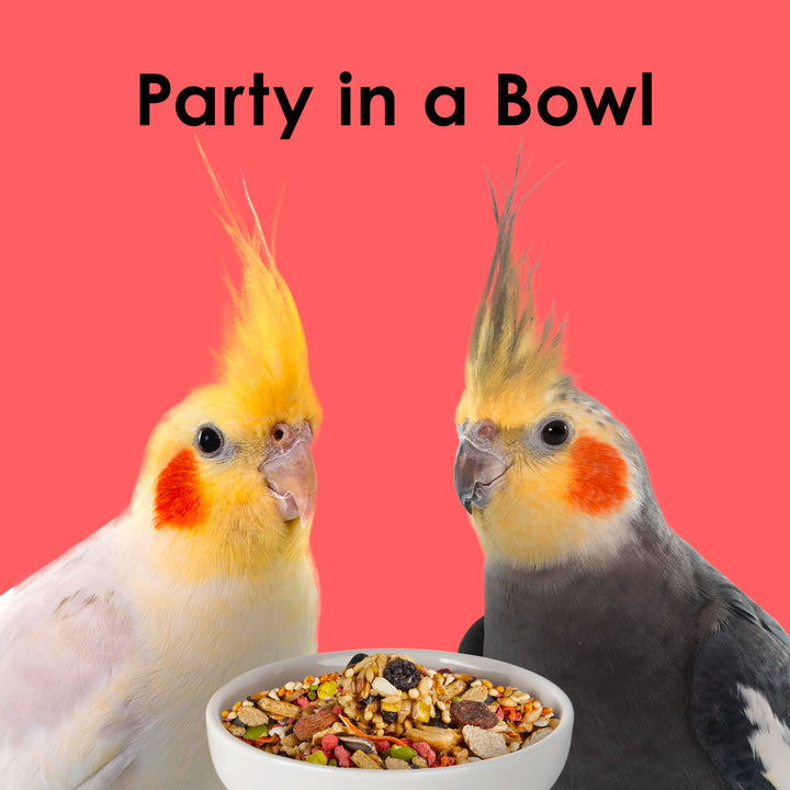 Kaytee Fiesta Cockatiel Bird Food, Nutritious Fun Blend, 4.5 Pounds
