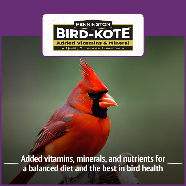 Pennington Songbird Nut &amp; Fruit Blend Wild Bird Seed for Outside Feeders