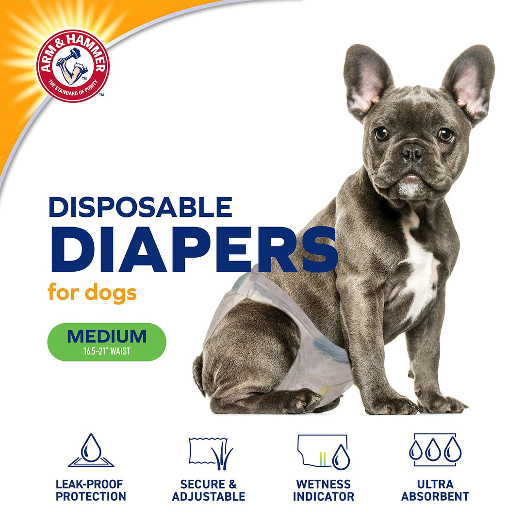 Arm &amp; Hammer Disposable Female Dog Diapers, Medium, 12 Count