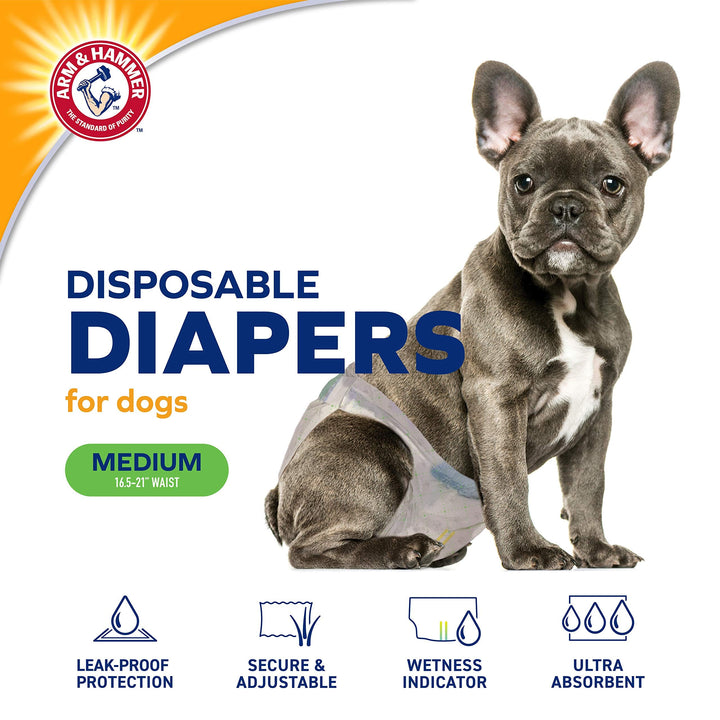 Arm &amp; Hammer Disposable Female Dog Diapers, Medium, 12 Count
