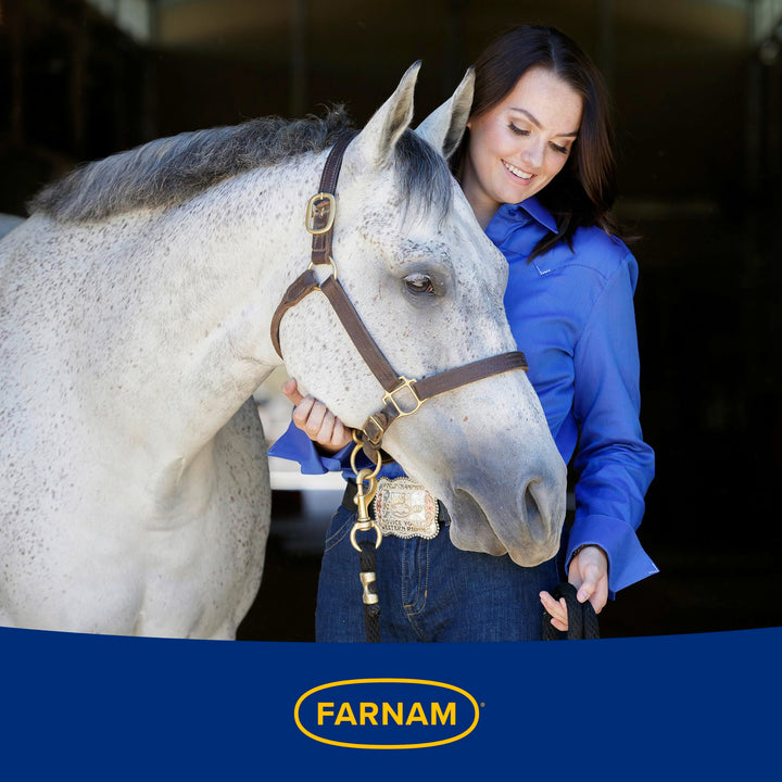 Farnam Laser Sheen Dazzling Shine and Detangler for Horses, 32 oz Spray