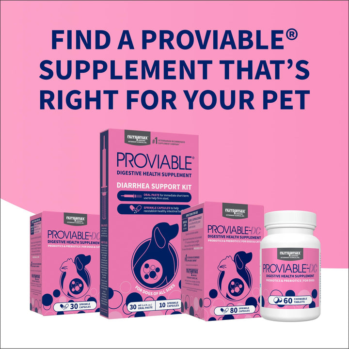 Nutramax Proviable Probiotics for Dogs &amp; Cats, Sprinkle Capsules, 30ct
