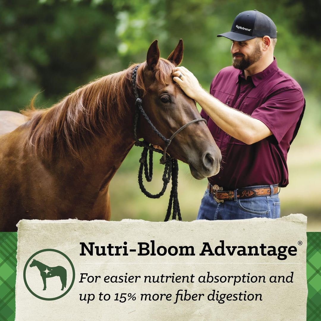 SafeChoice Senior Horse Feed, Molasses Free Multi-Form, 50 lbs