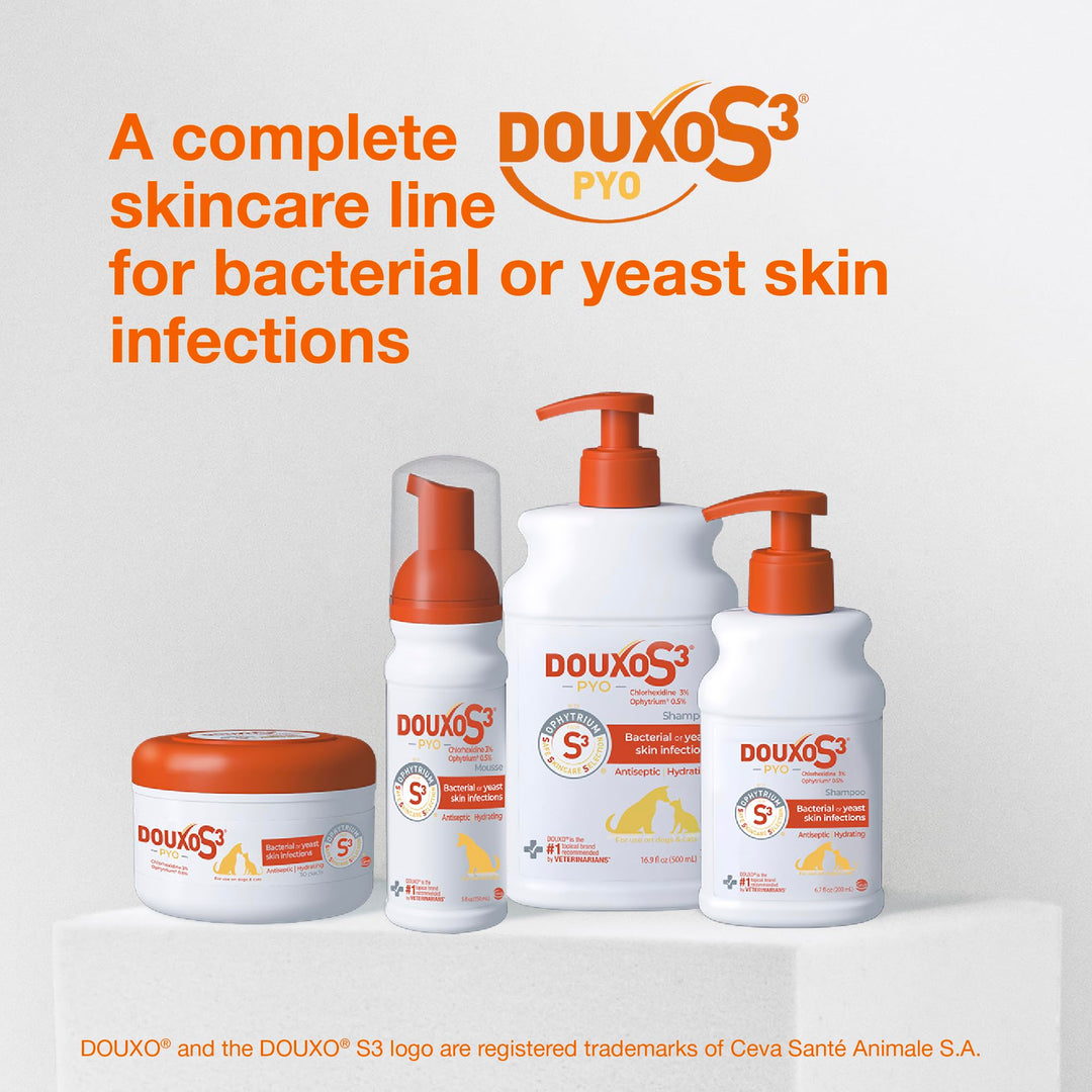 Douxo S3 PYO Medicated Dog Mousse - Bacterial &amp; Yeast Infection Treatment