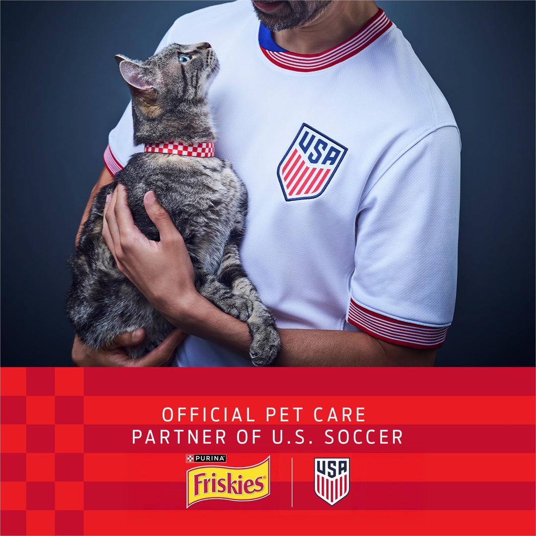 Friskies Purina Party Mix Natural YUMS Catnip Cat Treats, 20 oz Canister