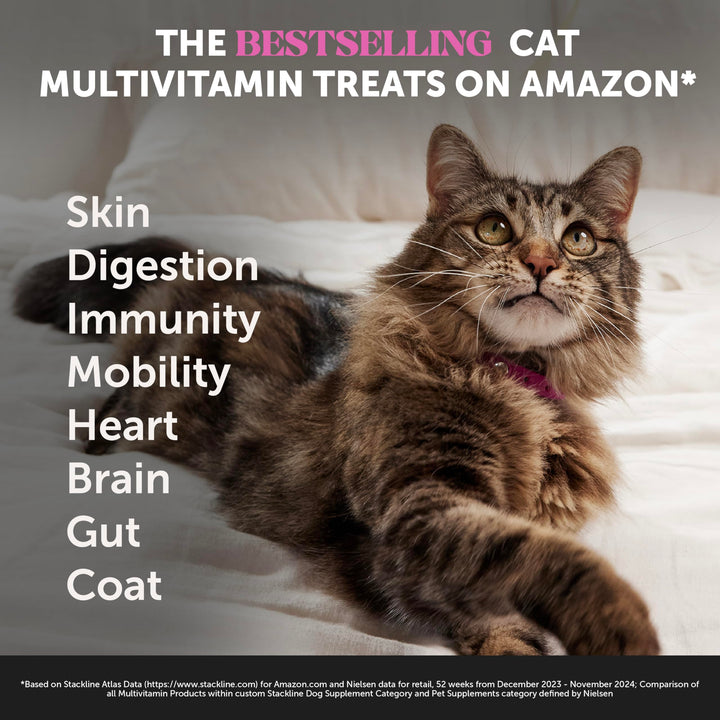 Pet Honesty Vet Backed Cat Multivitamin, Chicken, 90-Day Supply