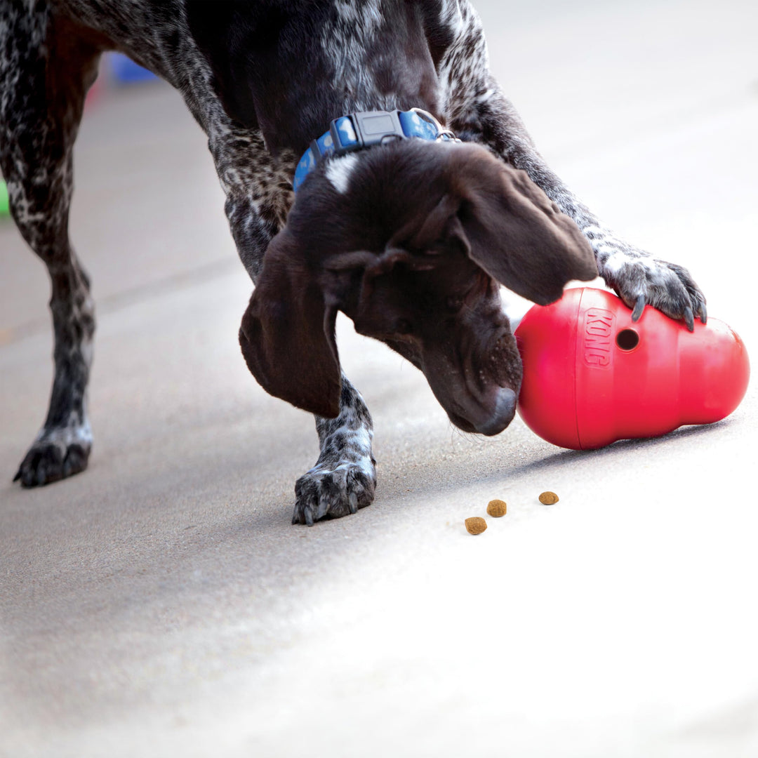 KONG Wobbler, Interactive Treat-Dispensing Dog Toy, for Medium/Large Dogs