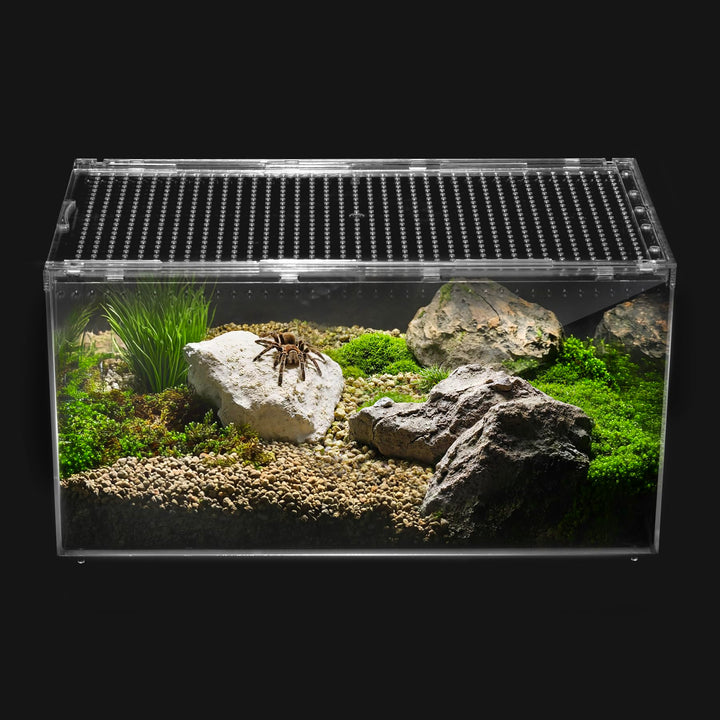 Clioran Reptile PC Tank,Escape Proof Magnetic Lid Tarantula Enclosure Large