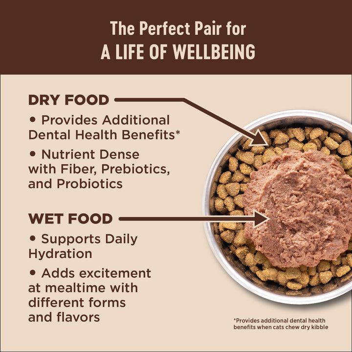 Wellness CORE Kitten Dry Cat Food, Natural, Grain Free Kibble, Turkey Meal and Chicken Recipe, 5 lb Bag