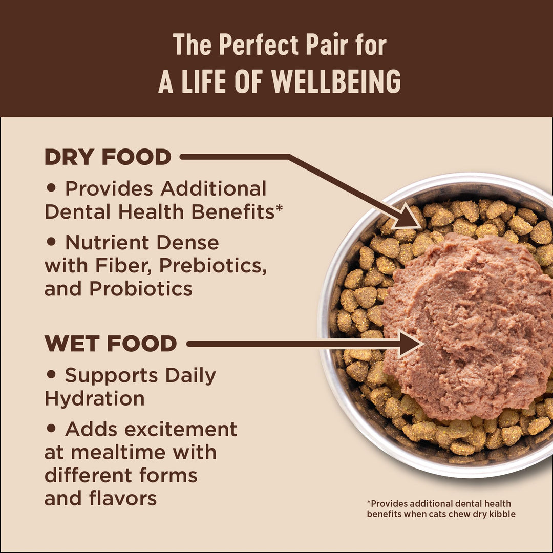 Wellness CORE+ Adult Dry Cat Food for Indoor Cats, Natural, Grain Free Kibble, Chicken and Turkey Recipe, 11 lb Bag
