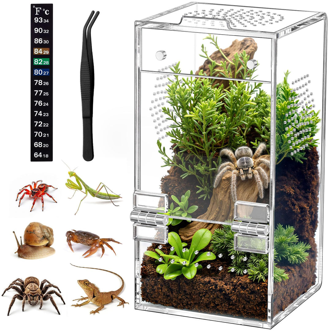 CourtyardAid Pre-Assembled Jumping Spider Enclosure, All-Side Ventilation