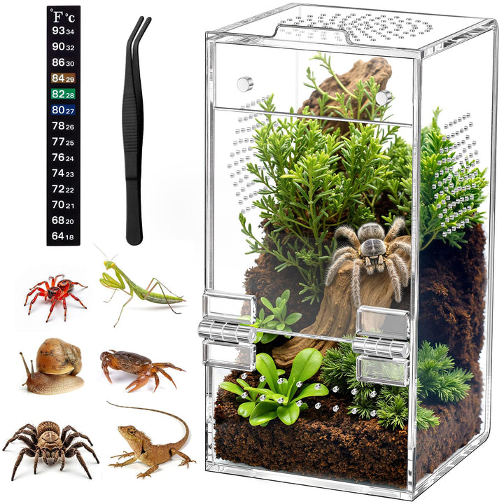 CourtyardAid Pre-Assembled Jumping Spider Enclosure, All-Side Ventilation