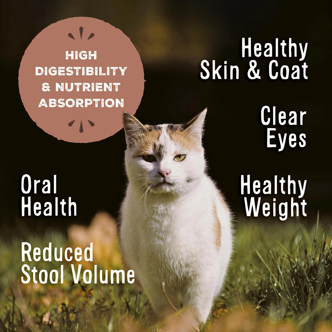 Primal Freeze Dried Raw Cat Food Nuggets, Rabbit, 14 oz