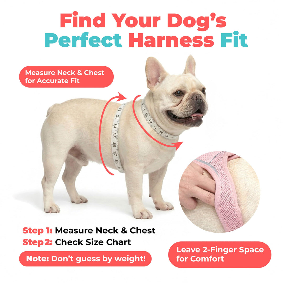 Voyager Step-in Air Dog Vest Harness - Pink, Small