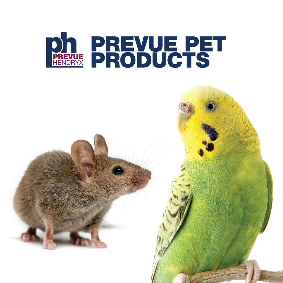 Prevue Pet Products Rope Ladder Bird Toy Hanging Birdcage Toy for Climbing