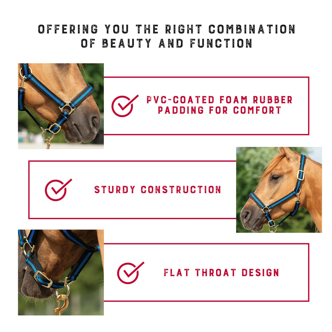 Weaver Equine Nylon Horse Halter, Average Horse, Padded &amp; Adjustable, 1 in