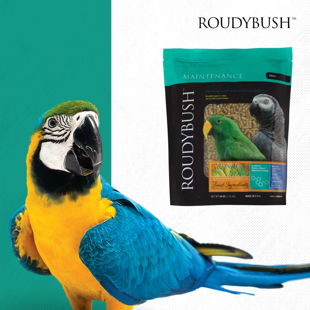 RoudyBush Daily Maintenance Bird Food, Small Pellets, 44 oz