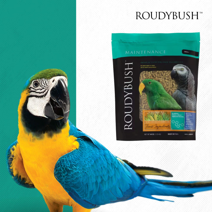 RoudyBush Daily Maintenance Bird Food, Small Pellets, 44 oz